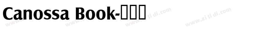 Canossa Book字体转换